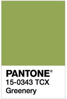 El color del año 2017: GREENERY 1 5e79262d4a52cdc60490a31433fbcdfe
