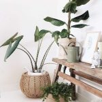 8454299eb9486a889c4b26cb9fb92aee