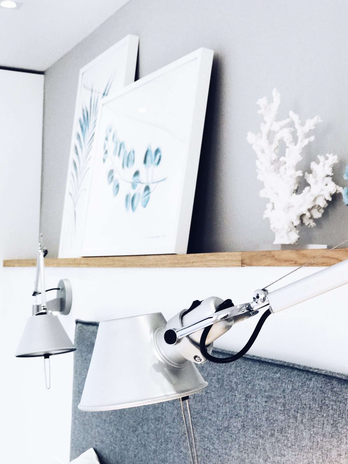 8fc1f276 d486 4361 985a 49bf91eec8ff