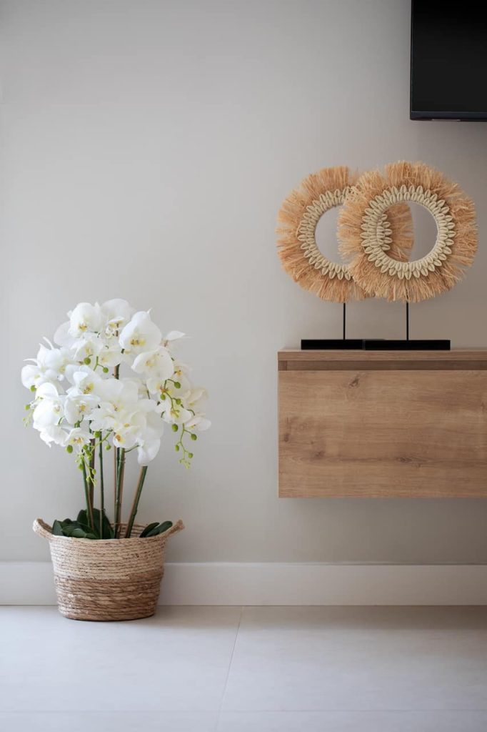 imagenes detalle rivera4 1